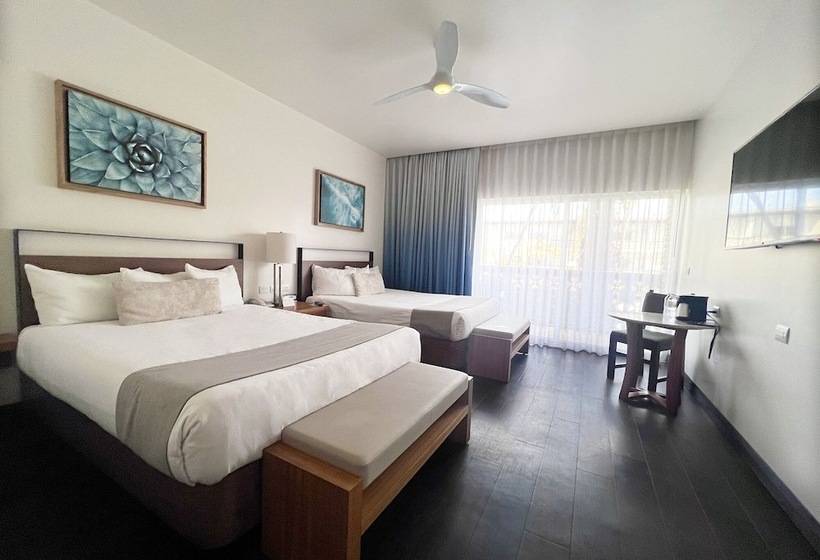 اتاق لوکس, San Nicolas Hotel Casino