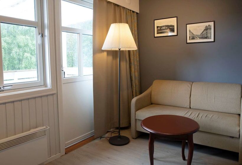 اتاق استاندارد یک نفره, Best Western Tingvold Park