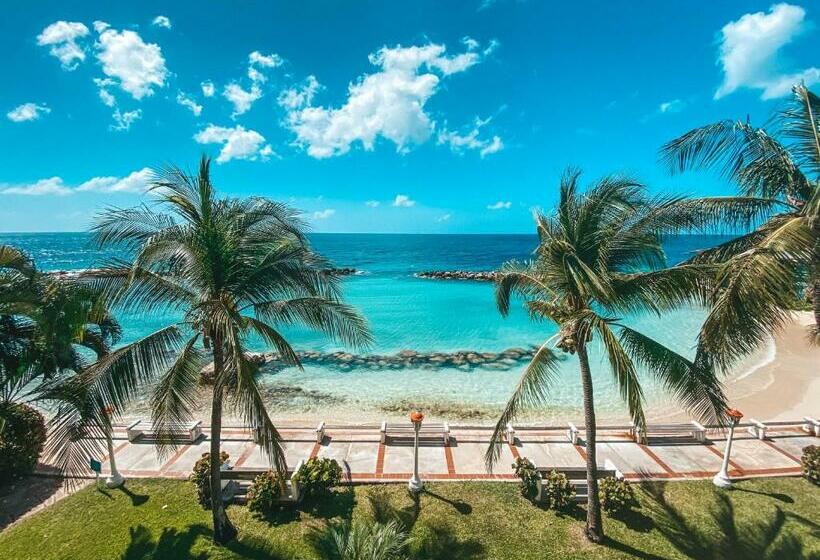 اتاق استاندارد با چشم‌انداز دریا, Curacao Avila Beach