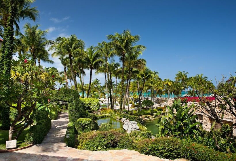 Standard Room Double Bed Sea View, Hyatt Regency Aruba Resort, Spa And Casino