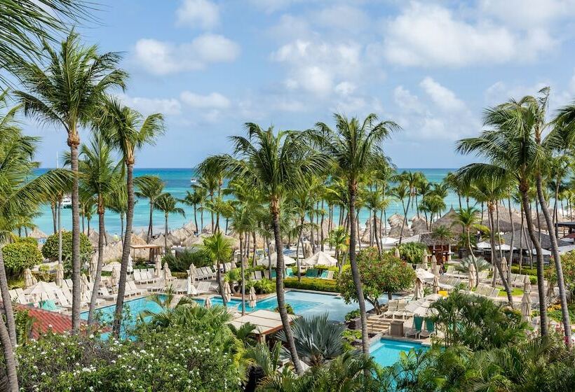 اتاق اکونومی با تخت دوبل, Hyatt Regency Aruba Resort, Spa And Casino