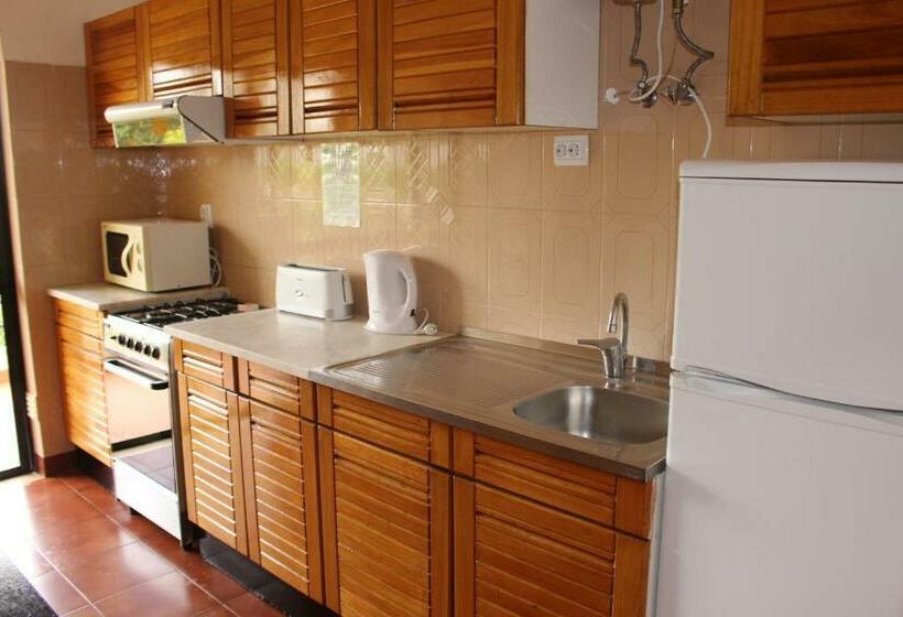 Apartamento 1 Dormitorio, Clube Alvorferias