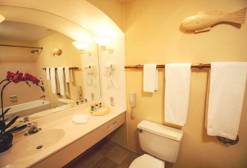 سوییت لوکس, Regency Art Hotel Macau