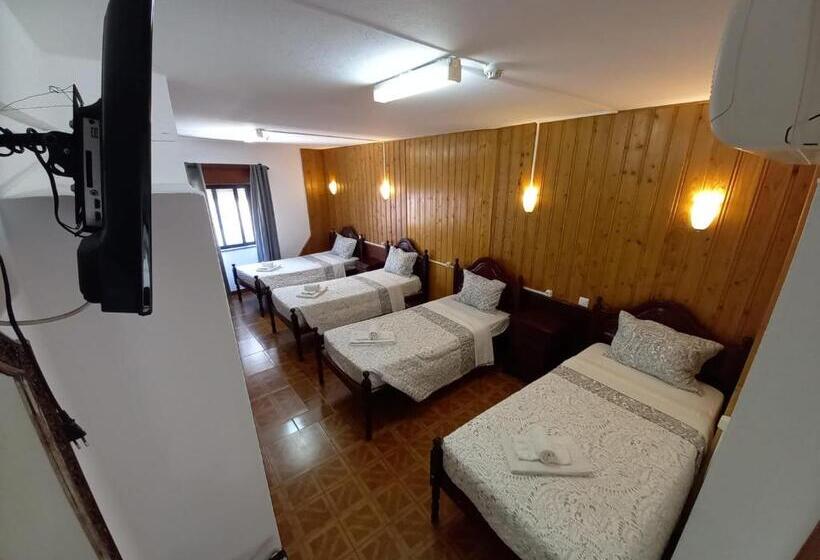 تختخواب در اتاق مشترک, Dbv Guesthouse
