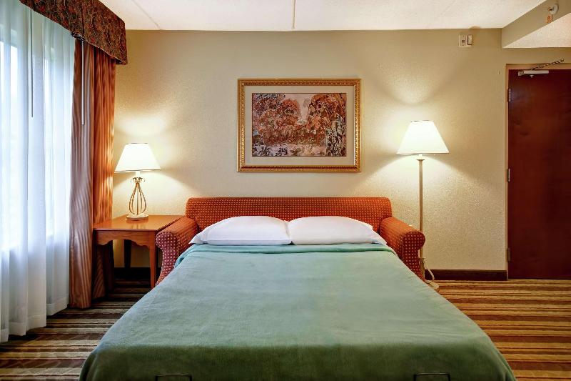 اتاق لوکس, Hilton Singapore Orchard