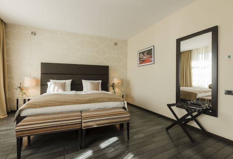 Chambre Deluxe Individuelle, Timisoara