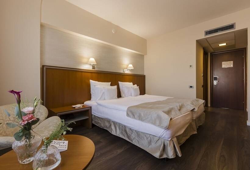 Chambre Affaires, Timisoara