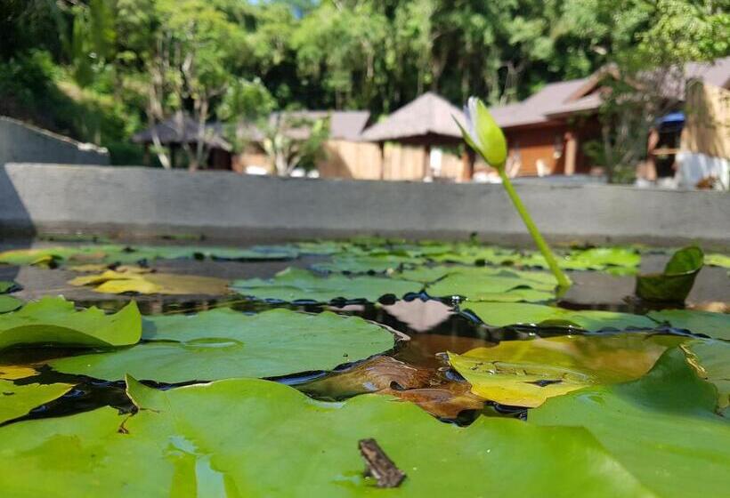 ویلای 1 خوابه, Palau Pacific Resort