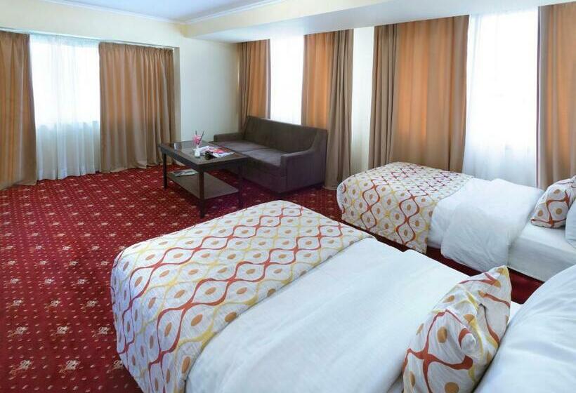 اتاق استاندارد با تخت بزرگ, Ani Plaza
