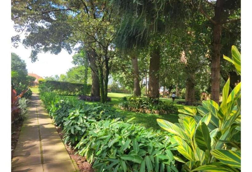 اتاق استاندارد, Acholi Inn