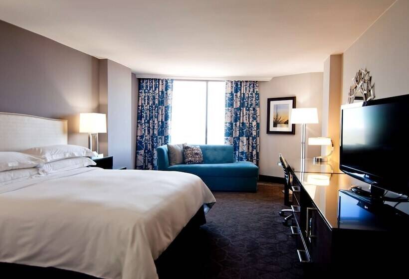 اتاق استاندارد با تخت دوبل, Hilton Arlington