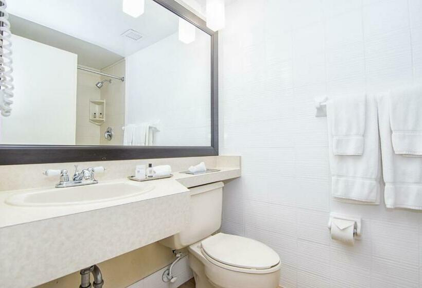 Standardrum King Size Säng, Regency Miami Airport By Sonesta