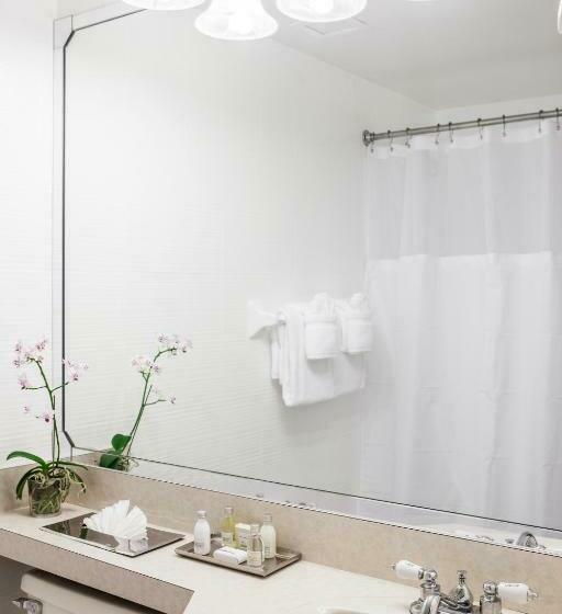 Standardrum, Regency Miami Airport By Sonesta