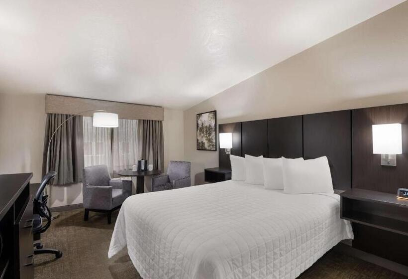 스탠다드 룸, Best Western New Oregon Motel