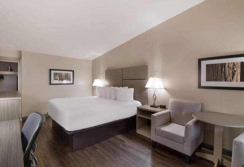 스탠다드 룸 킹사이즈 침대, Best Western New Oregon Motel