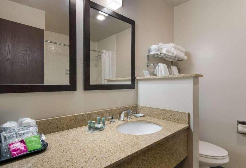 스탠다드 룸, Best Western New Oregon Motel
