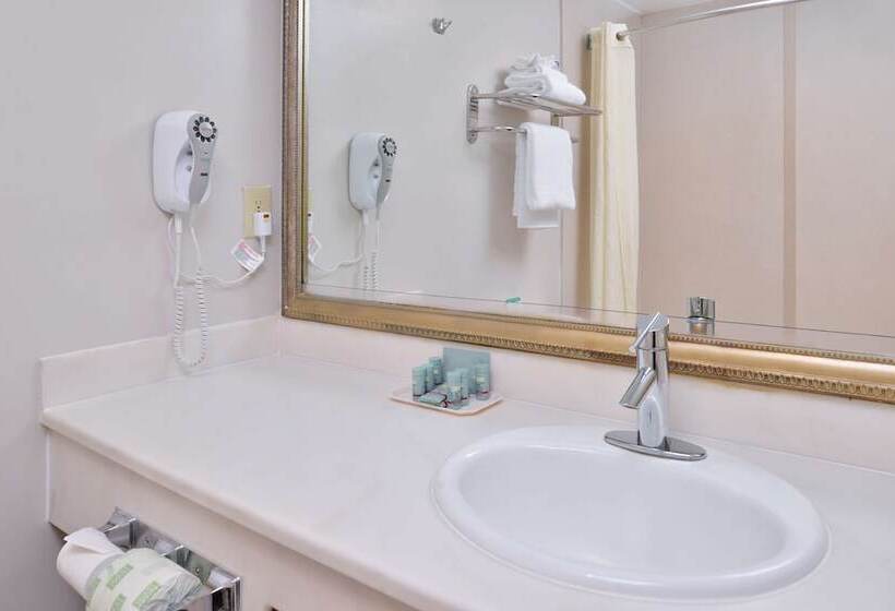 اتاق استاندارد با 2 تخت دوبل, Best Western Airpark Hotel   Los Angeles Lax Airport