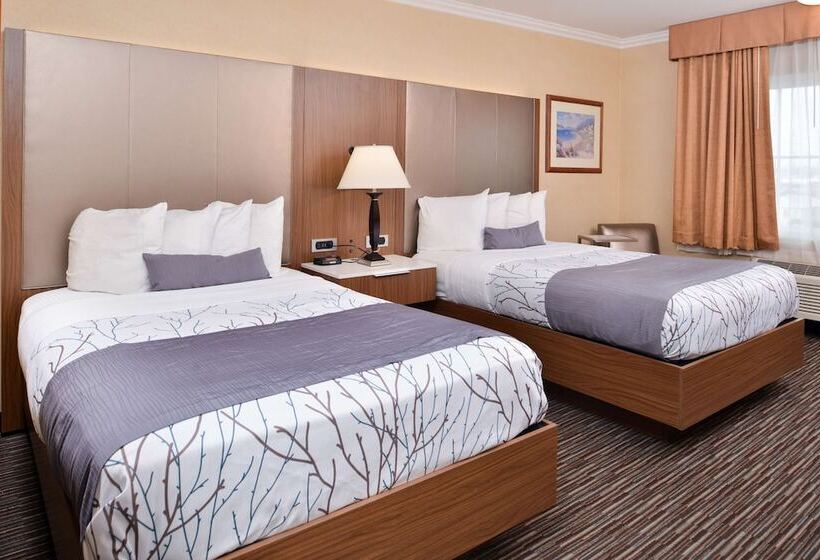 اتاق استاندارد با 2 تخت دوبل, Best Western Airpark Hotel   Los Angeles Lax Airport