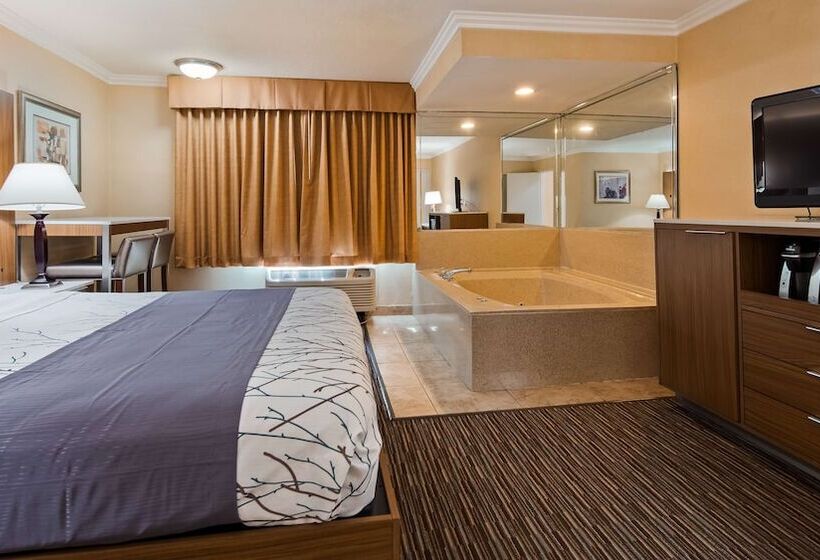 اتاق استاندارد با 2 تخت دوبل, Best Western Airpark Hotel   Los Angeles Lax Airport