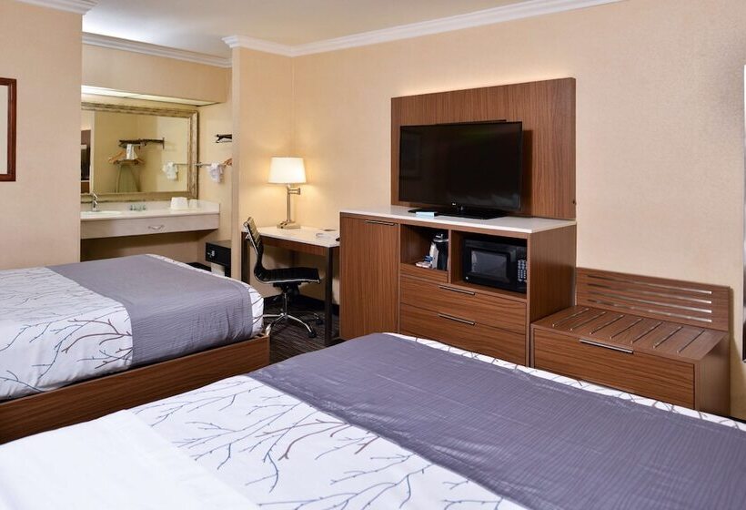 اتاق استاندارد با 2 تخت دوبل, Best Western Airpark Hotel   Los Angeles Lax Airport