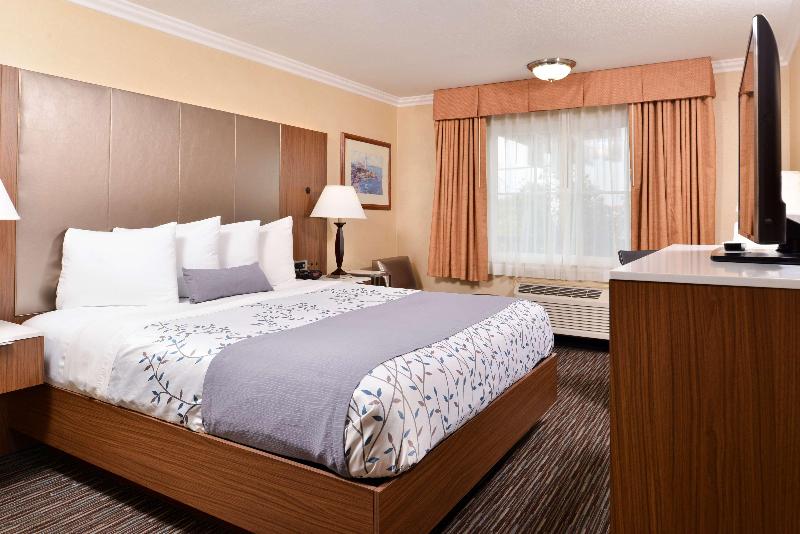 اتاق استاندارد با تخت بزرگ, Best Western Airpark  Los Angeles Lax Airport