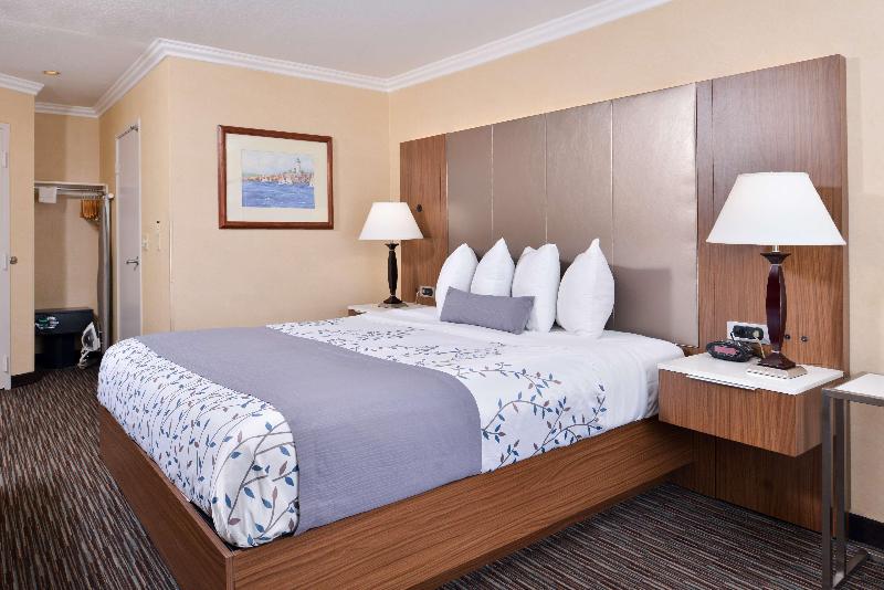 اتاق استاندارد با تخت بزرگ, Best Western Airpark Hotel   Los Angeles Lax Airport