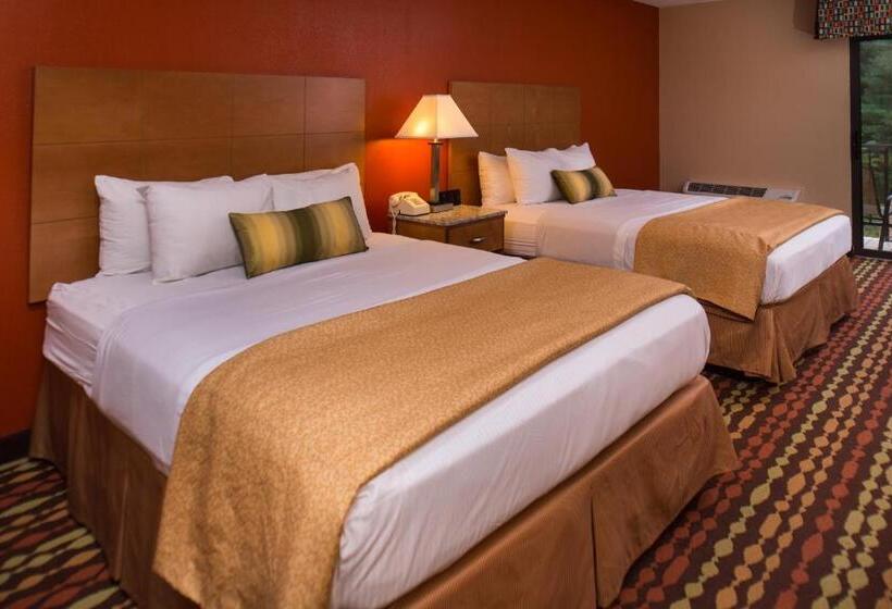 اتاق استاندارد با چشم‌انداز استخر, Best Western Ambassador Inn & Suites