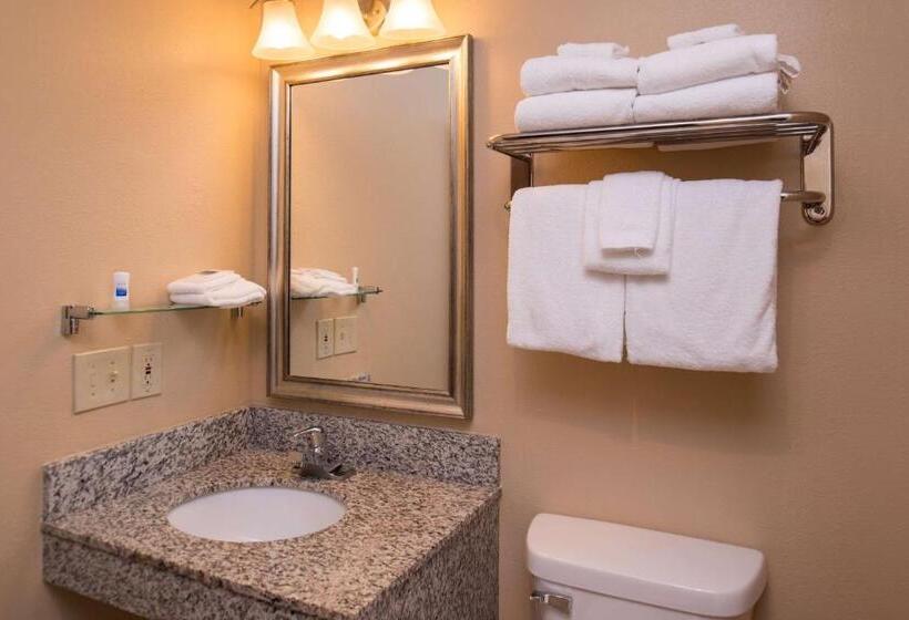 Deluxe Suite, Best Western Ambassador Inn And Suites