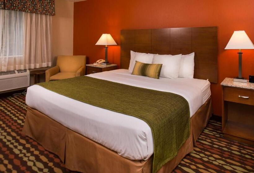 اتاق استاندارد با تخت بزرگ برای معلولان, Best Western Ambassador Inn & Suites