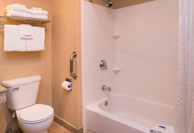 سوئیت با تخت بزرگ, Best Western Ambassador Inn & Suites