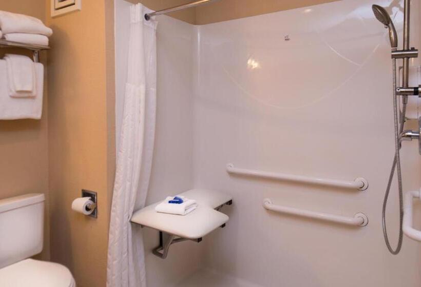 سوئیت با تخت بزرگ, Best Western Ambassador Inn & Suites