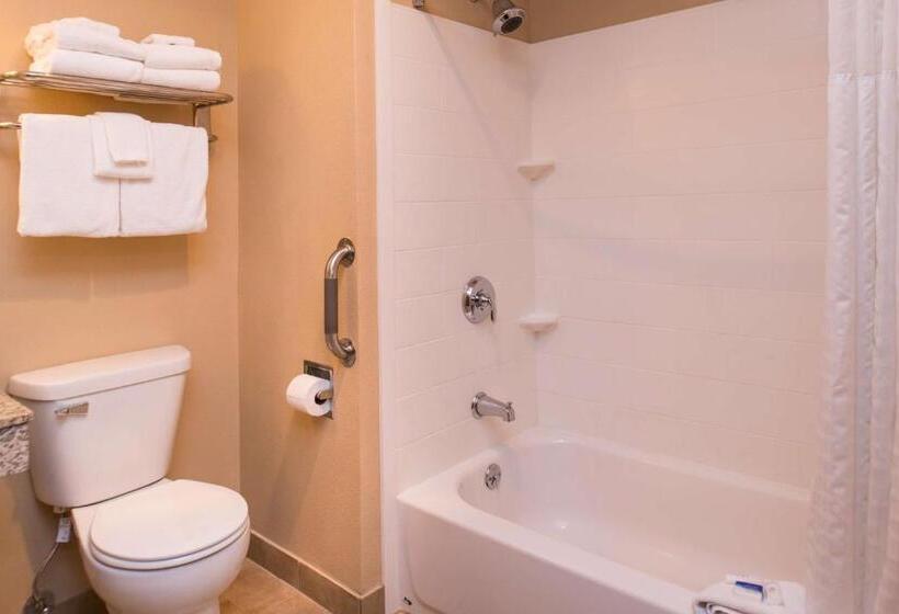 سوئیت با تخت بزرگ, Best Western Ambassador Inn & Suites