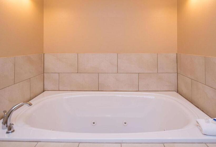 سوئیت با تخت بزرگ, Best Western Ambassador Inn & Suites