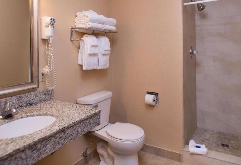 Deluxe Suite, Best Western Ambassador Inn And Suites