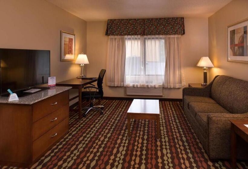 سوئیت با تخت بزرگ, Best Western Ambassador Inn & Suites