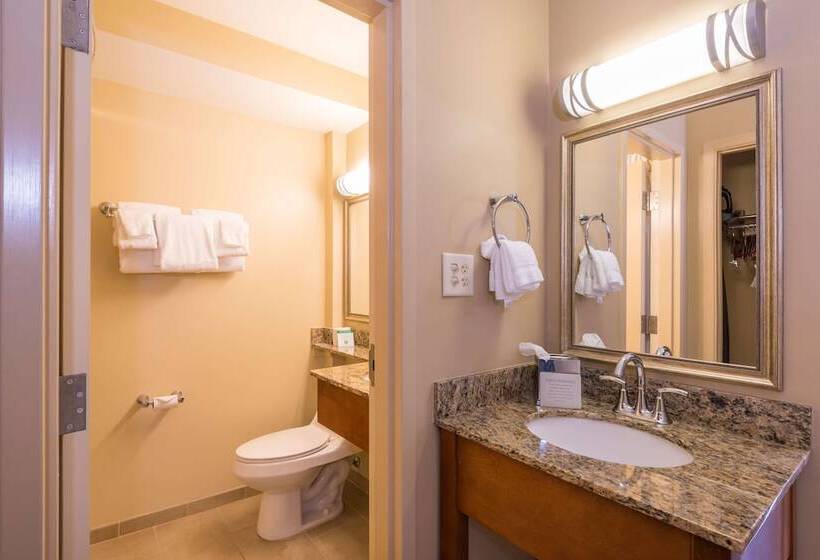 اتاق استاندارد با 2 تخت دوبل, Best Western Charleston Inn