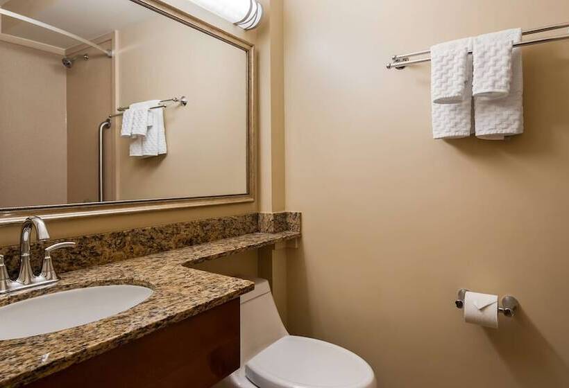 اتاق استاندارد با 2 تخت دوبل, Best Western Charleston Inn