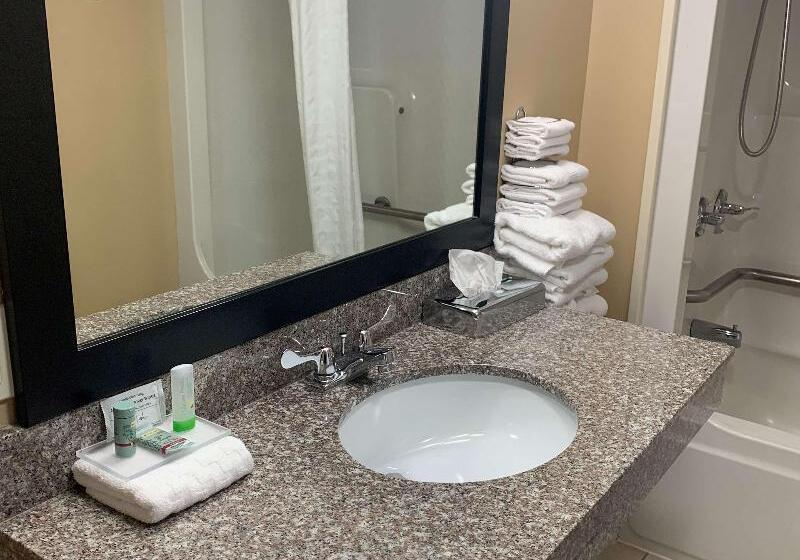 اتاق استاندارد برای معلولان, Best Western Conway