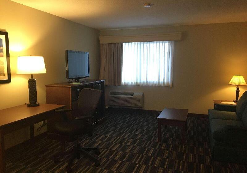 سوئیت با تخت بزرگ, Best Western Inn