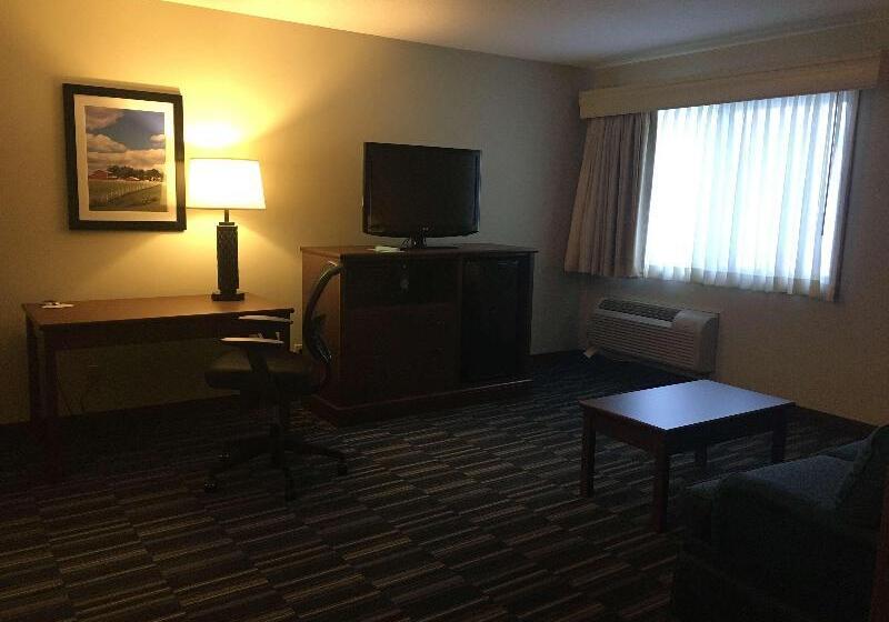 سوئیت با تخت بزرگ, Best Western Inn