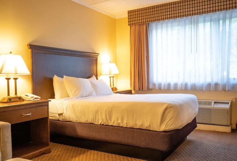 Quarto Standard Cama Casal para Deficientes, Best Western Of Lake George