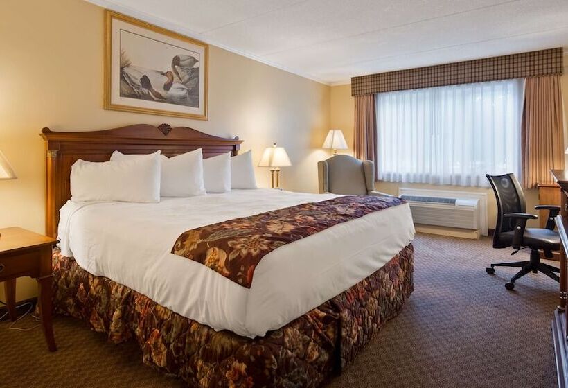 Quarto Standard Cama Casal para Deficientes, Best Western Of Lake George