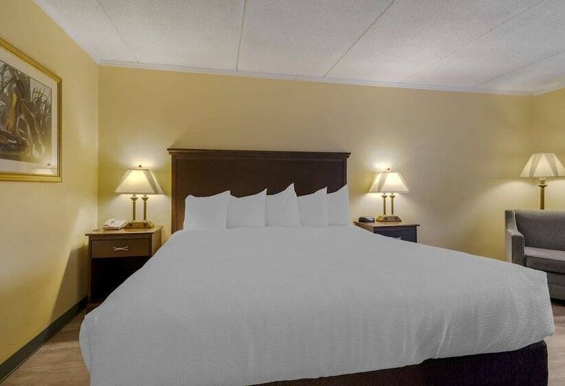 Quarto Standard Cama Casal para Deficientes, Best Western Of Lake George