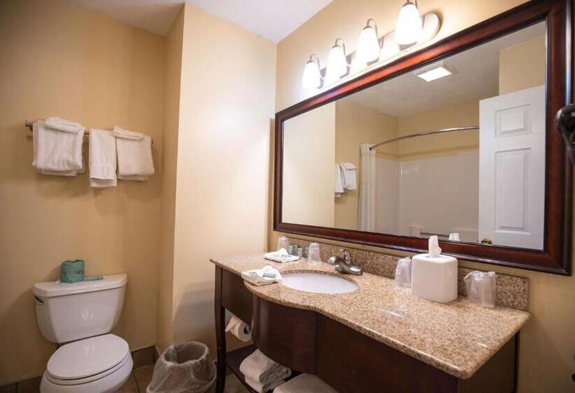 اتاق لوکس با تخت بزرگ, Best Western Of Lake George
