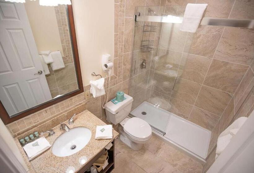 اتاق استاندارد با تخت بزرگ, Best Western Of Lake George
