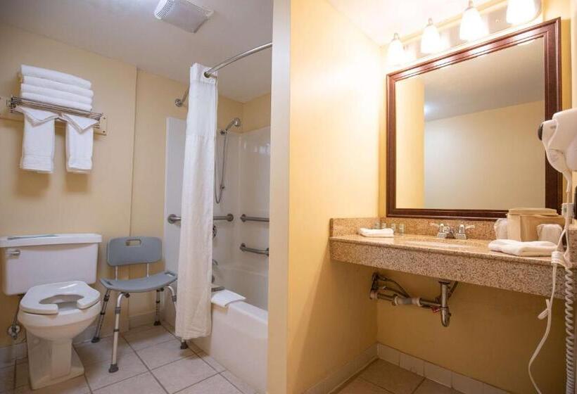 اتاق استاندارد با تخت دوبل برای معلولان, Best Western Of Lake George