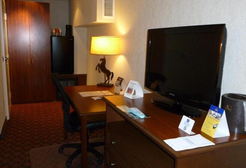 اتاق استاندارد با تخت بزرگ, Best Western Outlaw Inn