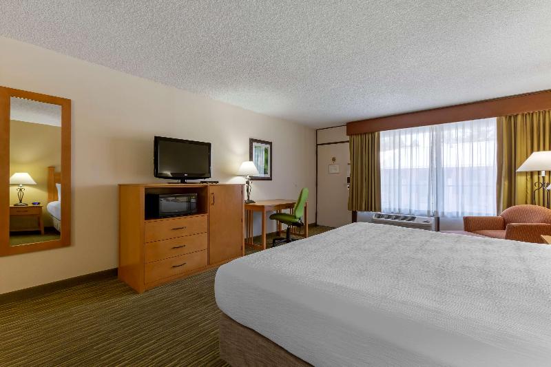 اتاق استاندارد با تخت بزرگ, Best Western Paint Pony Lodge