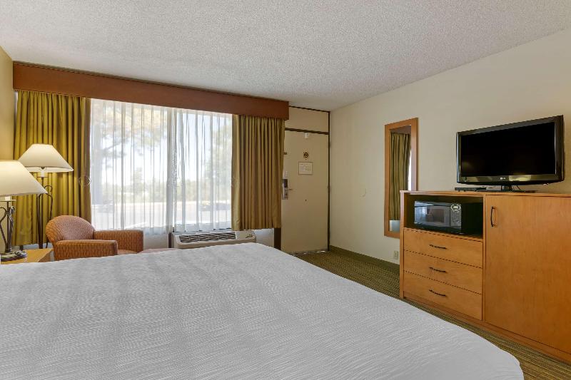 اتاق استاندارد با تخت بزرگ, Best Western Paint Pony Lodge