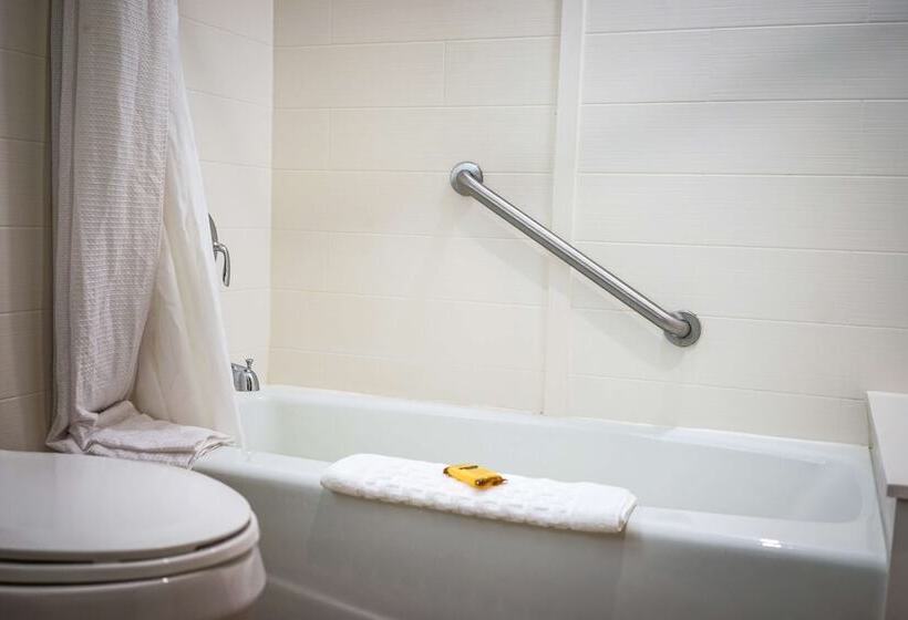 اتاق استاندارد با 2 تخت دوبل, Best Western Plus Dubuque Hotel And Conference Center